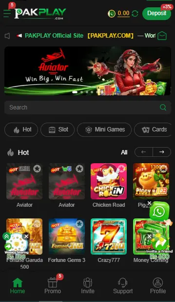 PakPlay Game